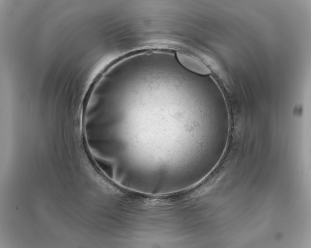 X0000090971275200708091428