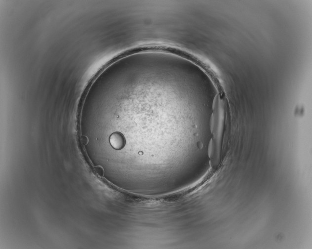 X0000090971279200708091428