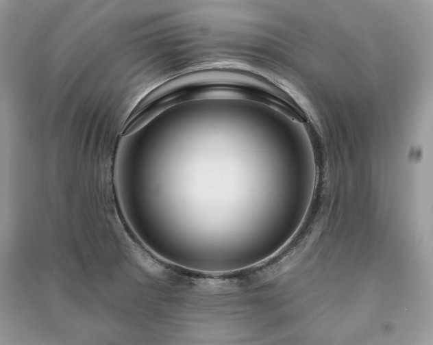 X0000090971281200708091428