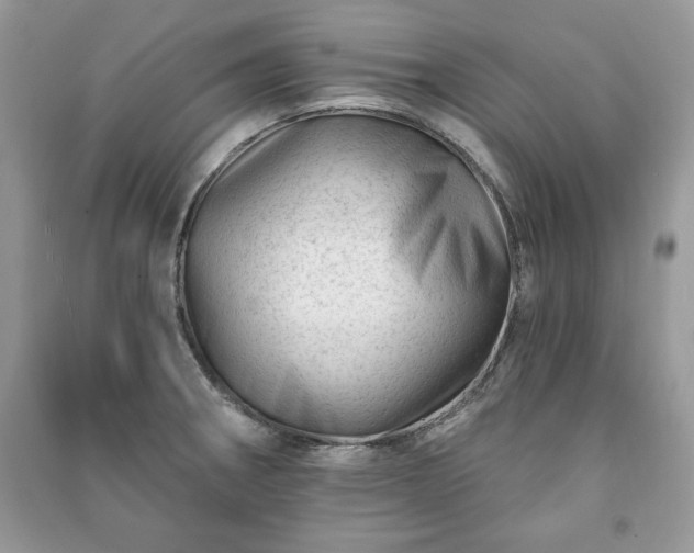 X0000090971282200708091428