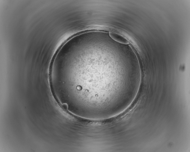 X0000090971283200708091428