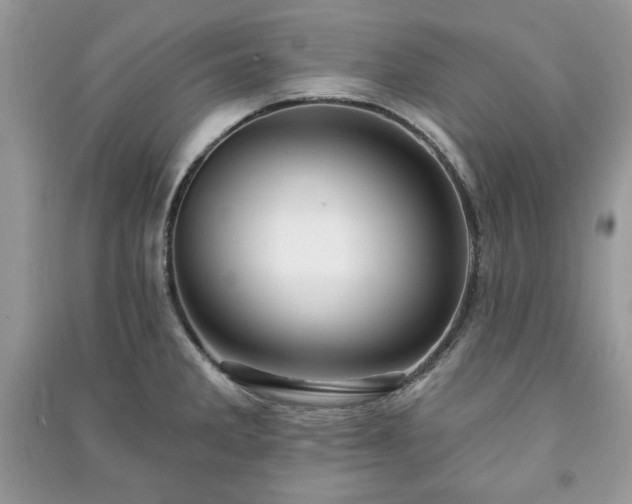 X0000090971285200708091428