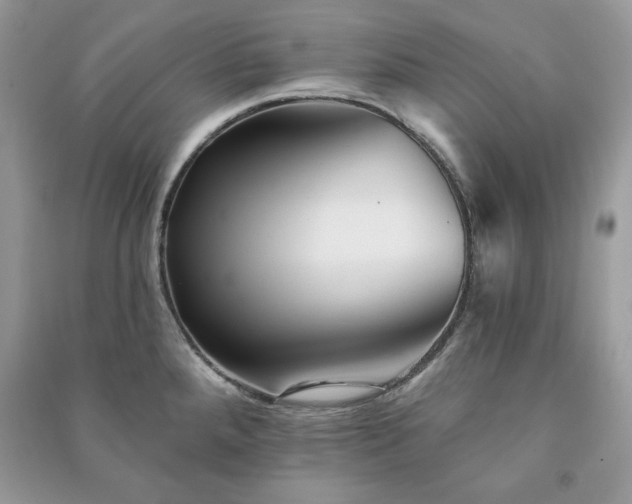 X0000090971288200708091428