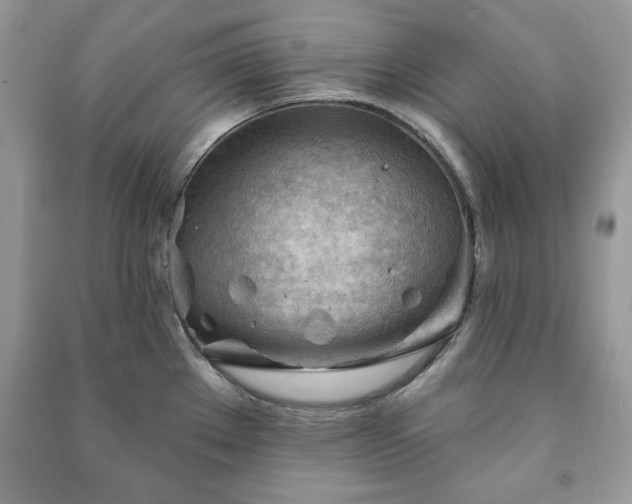 X0000090971289200708091428