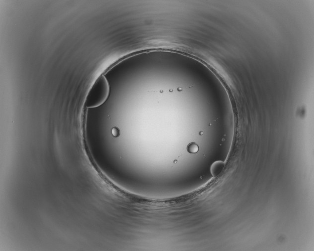 X0000090971291200708091428