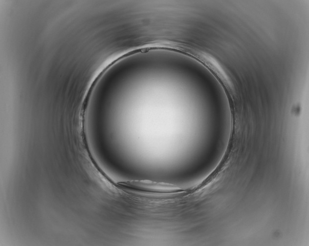 X0000090971292200708091428