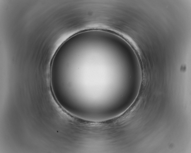 X0000090971295200708091428