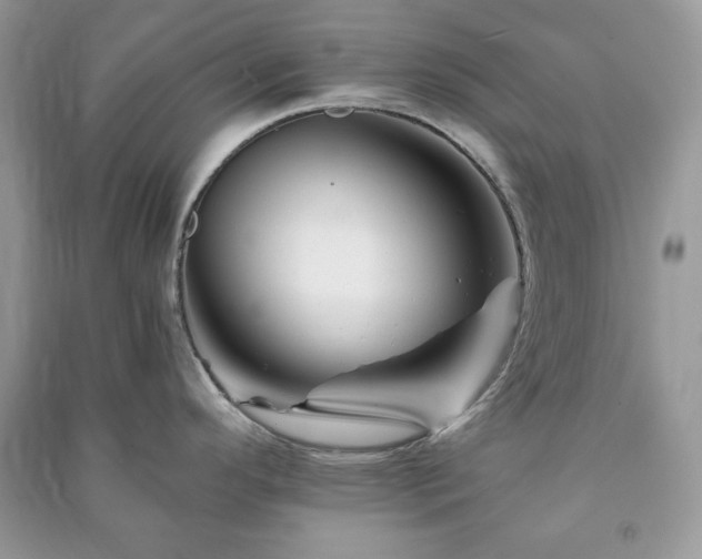 X0000090971296200708091428