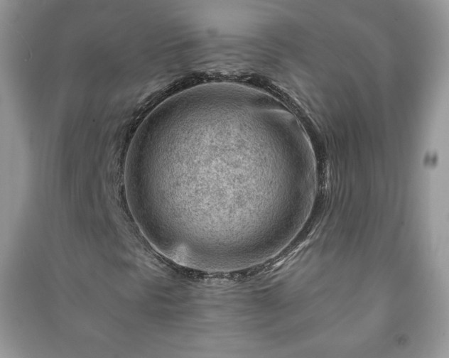 X0000090971297200708091427