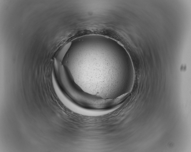 X0000090971298200708091427