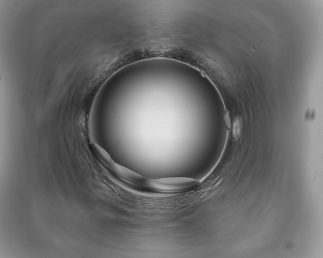 X0000090971299200708091427