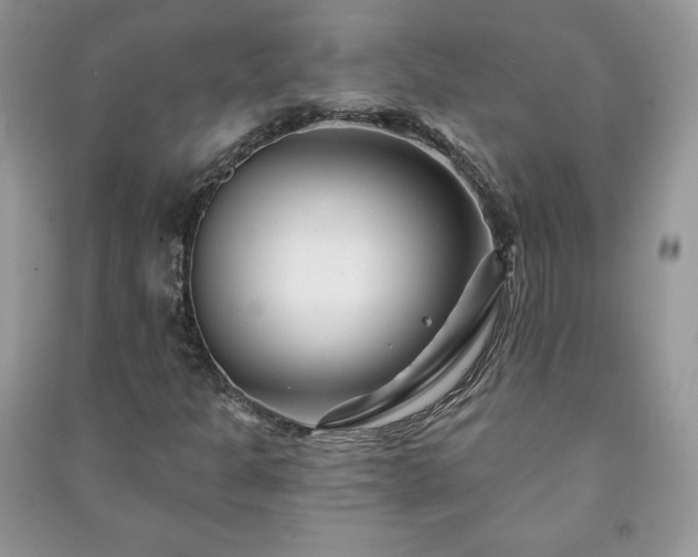 X0000090971301200708091427