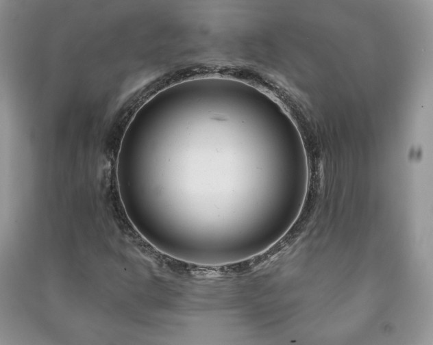 X0000090971302200708091427