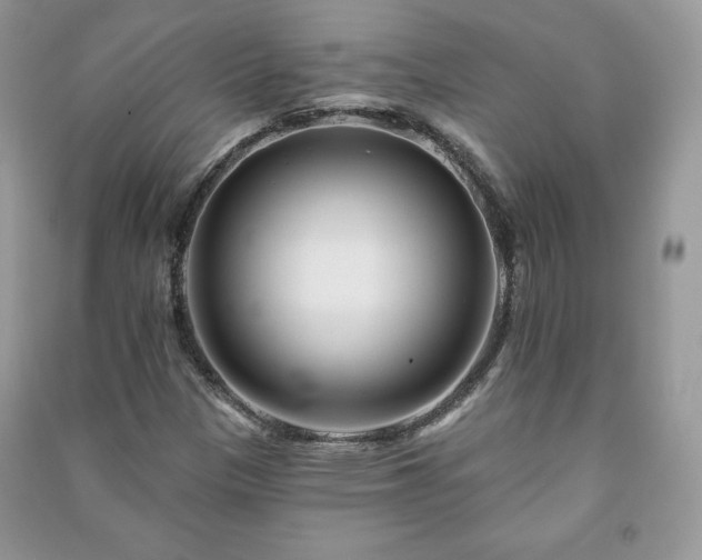 X0000090971305200708091427