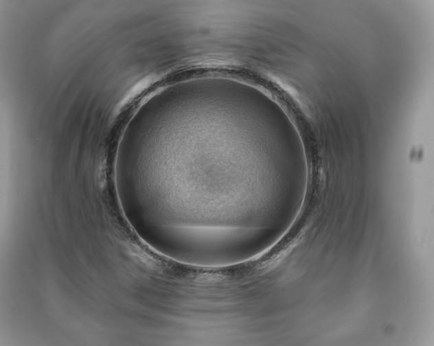 X0000090971306200708091427