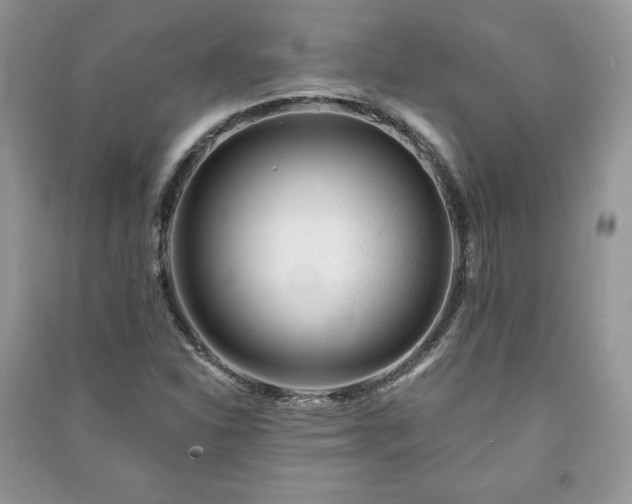 X0000090971310200708091427