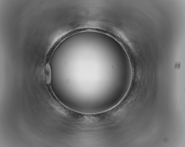 X0000090971312200708091427