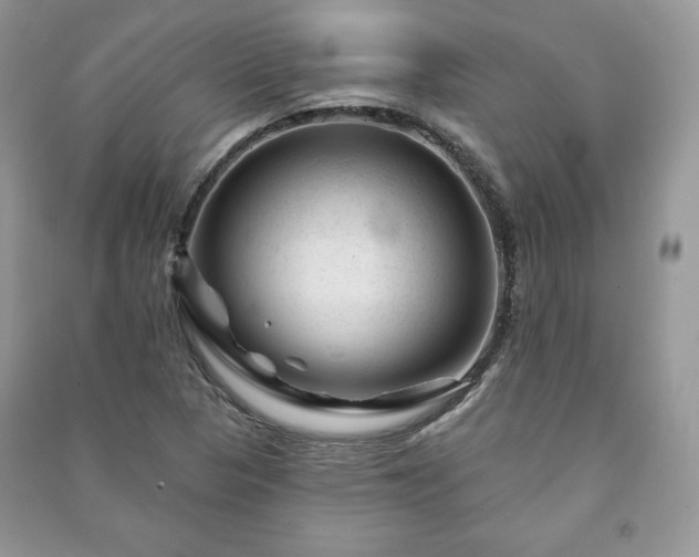 X0000090971313200708091427