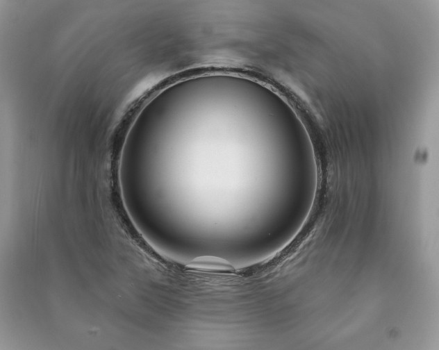 X0000090971315200708091427