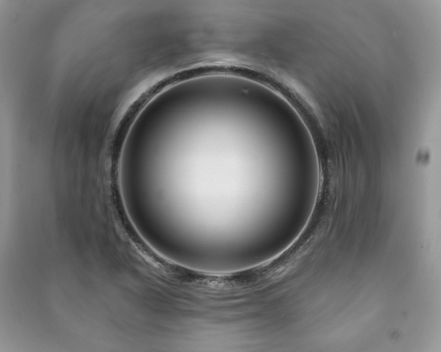 X0000090971318200708091427