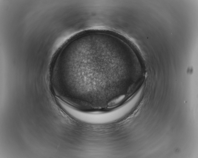 X0000090971319200708091427