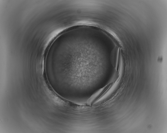 X0000090971323200708091427