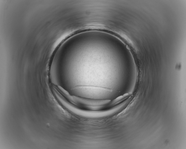 X0000090971325200708091427