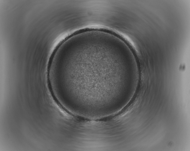 X0000090971327200708091427