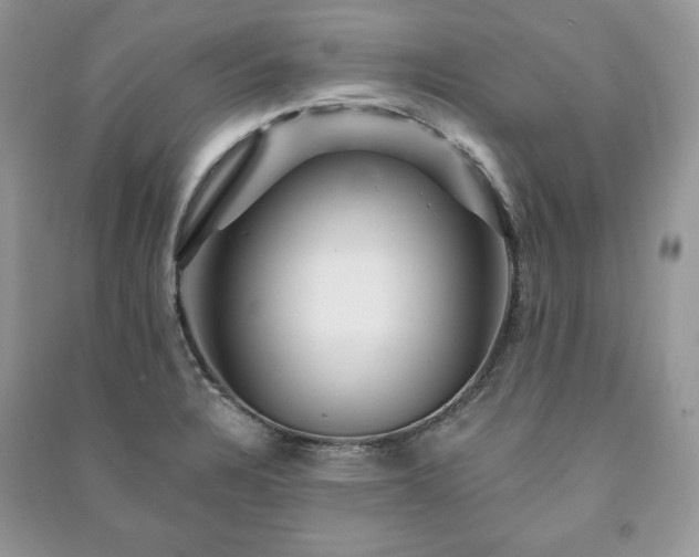 X0000090971328200708091427