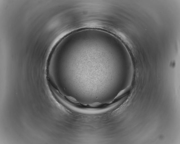 X0000090971331200708091428