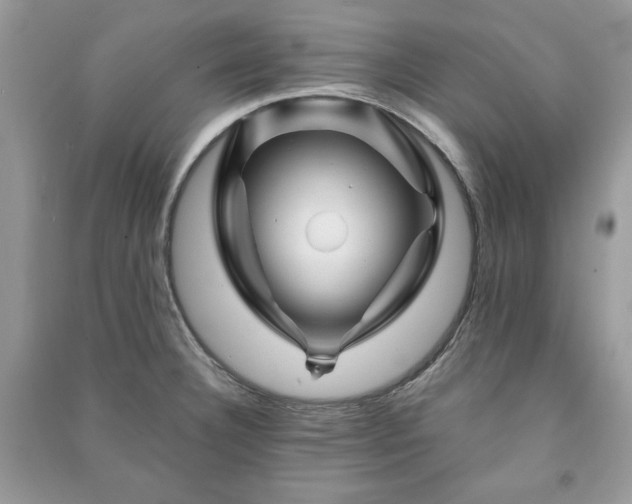 X0000090971332200708091428