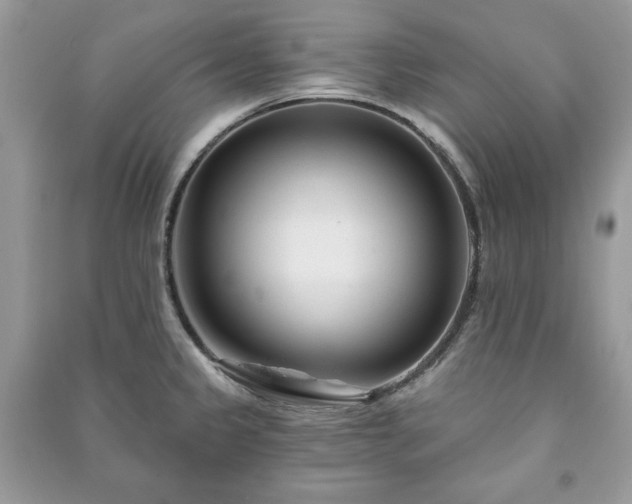 X0000090971333200708091428