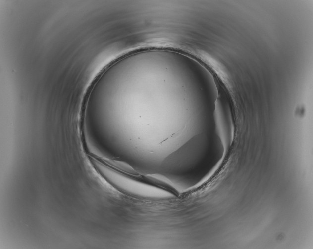 X0000090971334200708091428