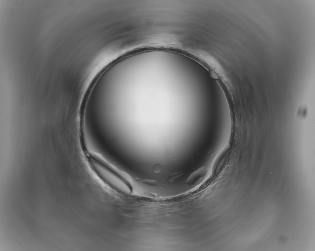 X0000090971335200708091428