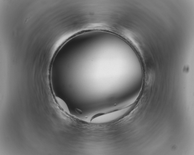 X0000090971336200708091428