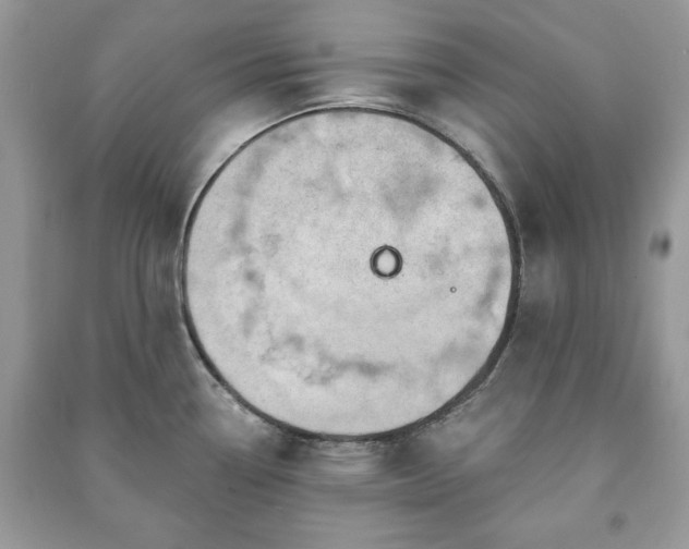 X0000090971338200708091428