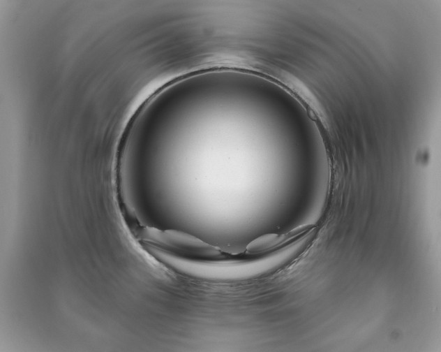 X0000090971339200708091428