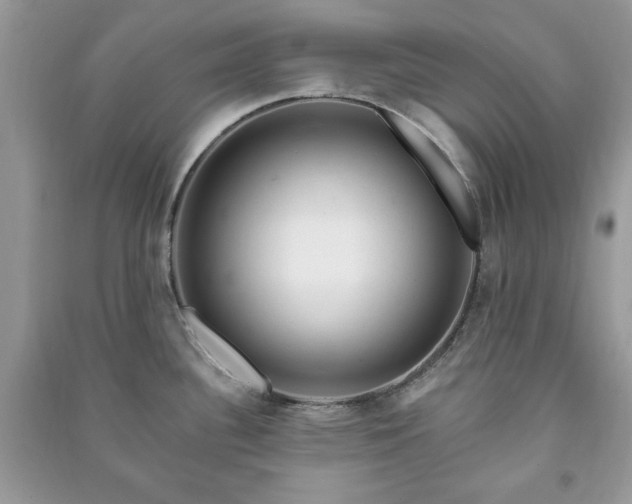 X0000090971340200708091428