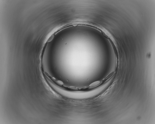 X0000090971341200708091428