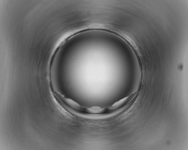 X0000090971342200708091428