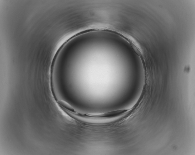 X0000090971343200708091428