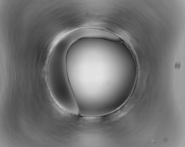 X0000090971344200708091428