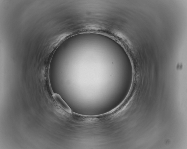 X0000090971353200708091427