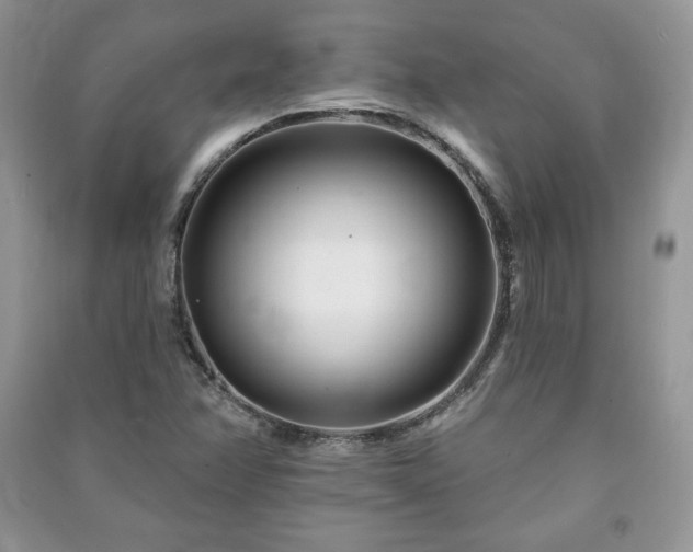 X0000090971358200708091427