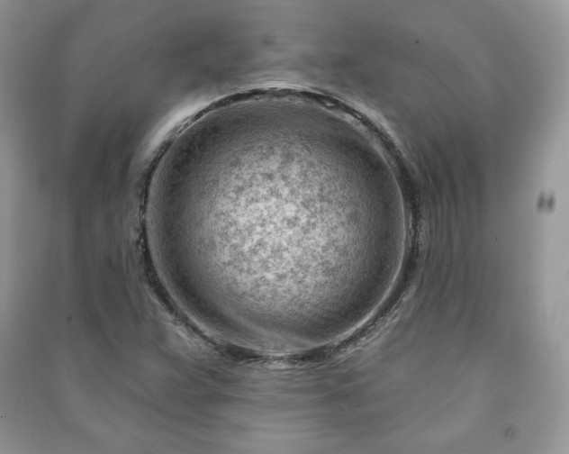 X0000090971359200708091427