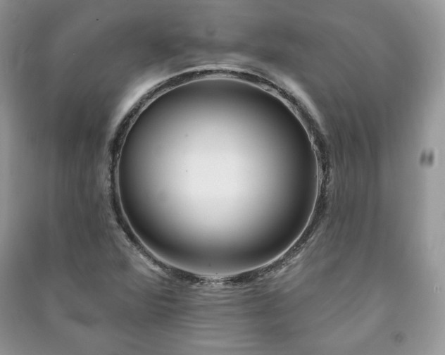 X0000090971360200708091427