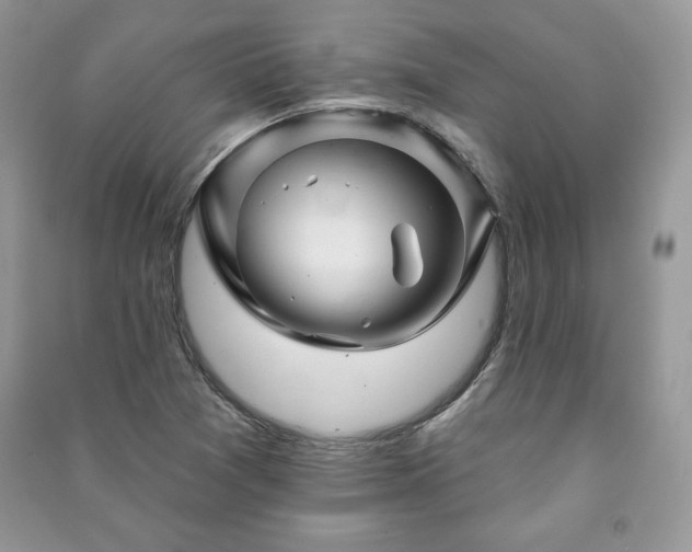 X0000090971361200708091427