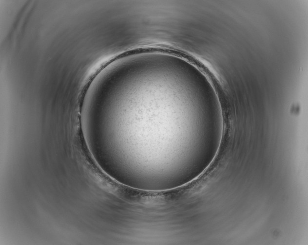 X0000090971363200708091427