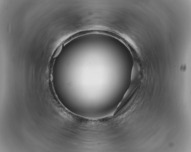 X0000090971364200708091427