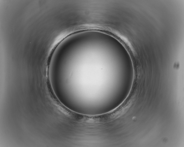 X0000090971365200708091427